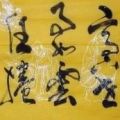 鷨