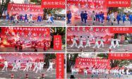̫������  �䶯�󰲡���������������̫���Ļ�����ʢ��