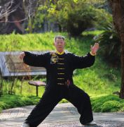 ����������ϵͳ�԰˶ν���ѵ��չ�ݻ��ȫ�����»���