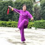 ʮ����Ƚܳ���������֮����������2025̫��������ʢ����ȱ�������