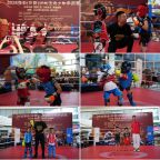 ����ȼ����ȭ�棡ȫ����2026�������������깦��������˳���ٰ�