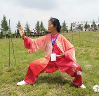 ʮ����Ƚܳ���������֮���Ӣ����2025̫��������ʢ����ȱ�������