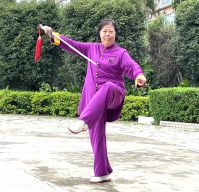 ʮ����Ƚܳ���������֮����������2025̫��������ʢ����ȱ�������