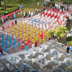 ϲ��˫����������̫��ȭ���Ǹ���վ���ࡰ����̫��ȭ��չ�ݡ�