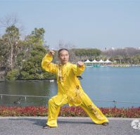 ʮ��̫��ȭ�������֮���˾�����2025̫��������ʢ����ȱ�������