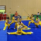 �Ϻ��еڶ�ʮ�˽조���䱭����С��ѧ����ͳ����������ǧ���佡��չӢ��