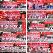 ̫������  �䶯�󰲡���������������̫���Ļ�����ʢ��