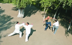 ����������飨��������켸��ͽ����С�����¶���