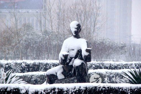 �����Ȳ�