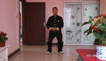 2.gif