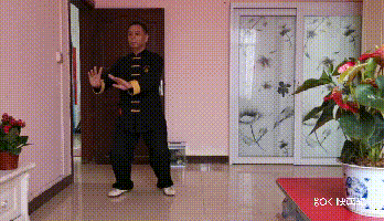 4.gif