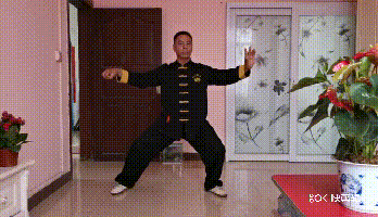 5.gif