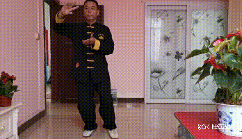 6.gif