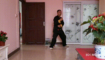 8.gif