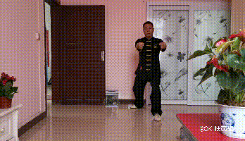 9.gif