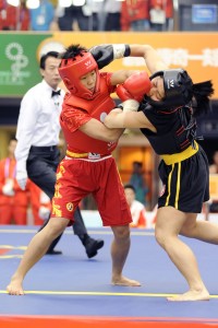 HKSPA1212_SANSHOU_005_ARI3.jpg