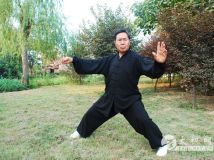 ��ʽ̫��ȭ���˳�����ȭ��ͼ��