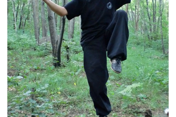 Ϊ̫ȭĴ뷢չ гʽ̫ȭƹĵļ