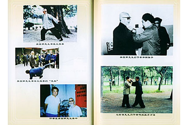 �ݶ�����ͼ��̫��ȭ�ɹ��ۡ�֮�ĵ�