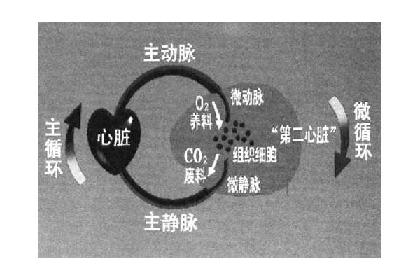 ̫��ȭ�������ڶ����ࡱ