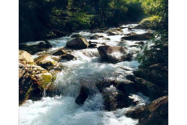 ̫��ȭ����֮��ǳ̸