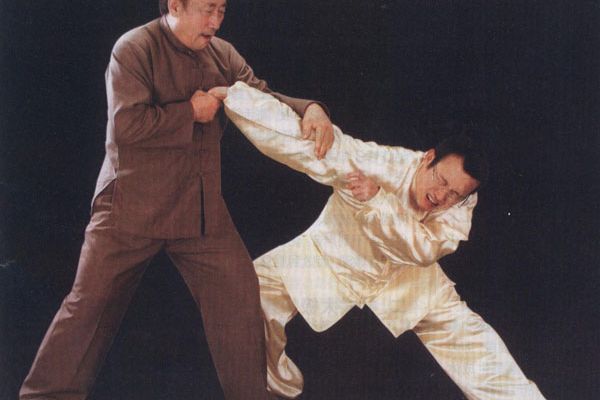 ��������������ʽ̫��ȭ�������˶���ʽ