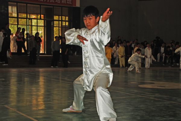 ���ص�ʮ�˽�̫��ȭ���������ֽ����������������ݿ���