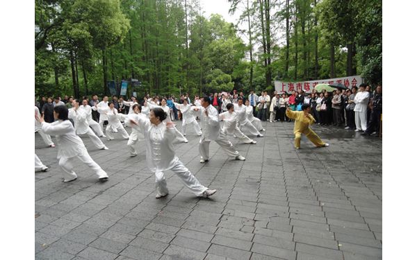 һϺгʽ̫ȭЭ̫ȭչʾ