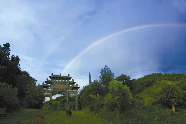 �й�����������