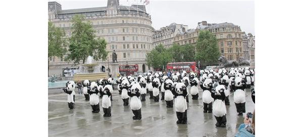 ��������è���׶ش�̫��ף������