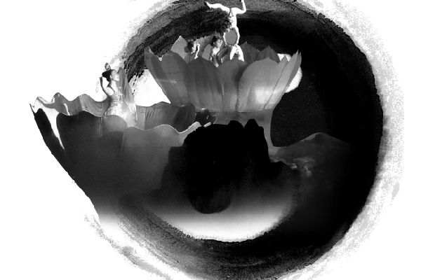 ��������㡶�λ�̫���������θİ� ���ݹ��ڳ�������