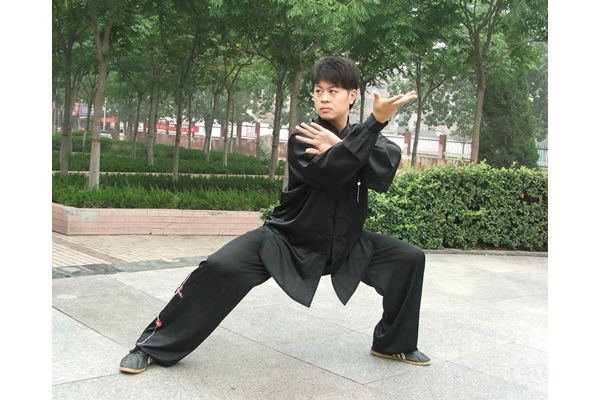 ��ʽ̫��ȭ������һ��