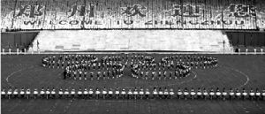 �ھŽ�֣�ݹ����������������쿪Ļ