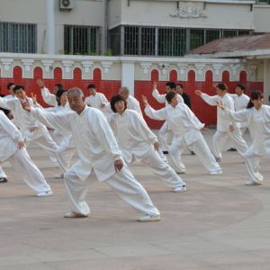 ��ʽ̫��ȭ �������ݵķ������Ļ��Ų�