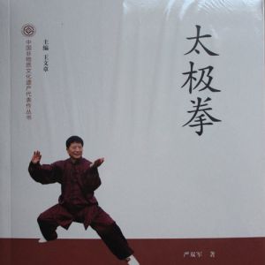 ��˫��������̫��ȭ��һ����ѡ�й��������Ļ��Ų�����������