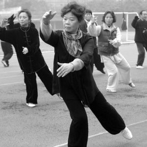 ��ţ������̫�� ��������