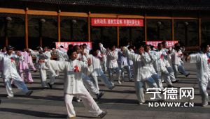 ������̫��ȭЭ�Ὺչ��������ϵ�л