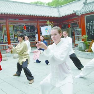 ���أ�̫��֮�趯���� ̫��ȭ���й��Ļ���Ƭ