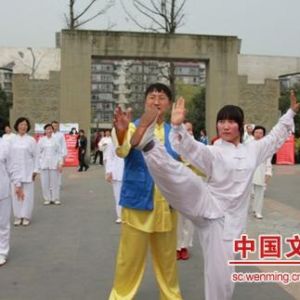 ɶɻ㷺չȫ̫ʱл