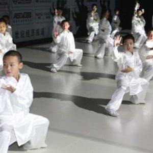 �Թ��г�̨̫���Ļ���У԰����