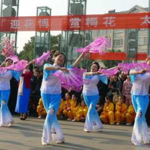 ������÷����̫������ר���ݳ�