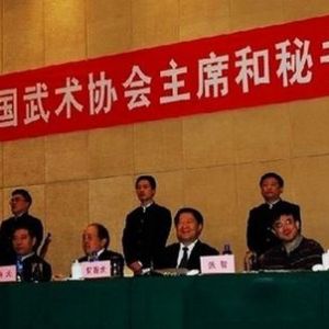 2013 �й������������������Ļ���������ˮƽ