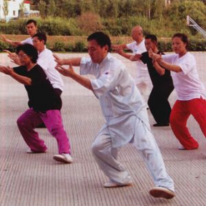 ѧ��̫��ȭ������