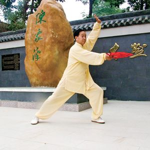 �人��ѧ���潲�� ̫���Ļ���̫��������̫������