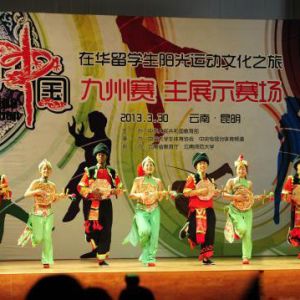 �ڻ���ѧ�����Ͼ������崫ͳ���� �й�̫��������