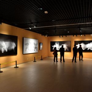 ��̫������Ӱ��Ʒչ����һ���ڼ��ں���ʡ����Ժ�ٰ�