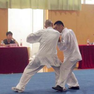 2013��ȫ��������λ����ѵ��Բ������