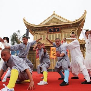 �л������ߴ����ɸ��ֶ�ü�۷�Ծ�