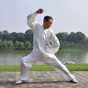 ����������̫��ȭ��ʮ��ʽ����