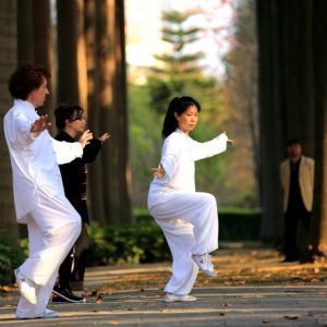 �����������е����̫����������